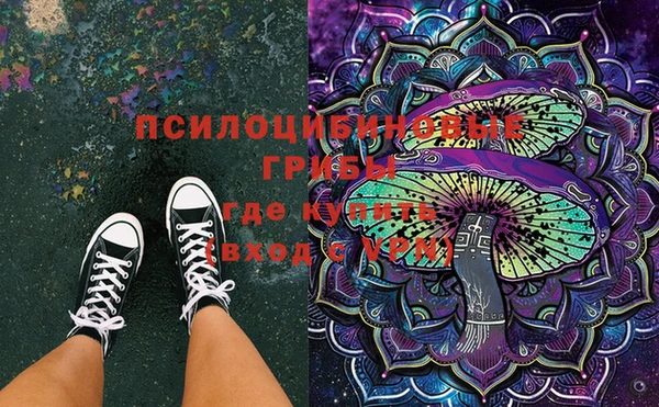 стафф Верхний Тагил