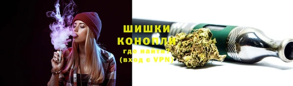 стафф Верхний Тагил
