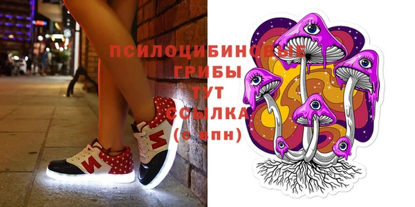 стафф Верхний Тагил