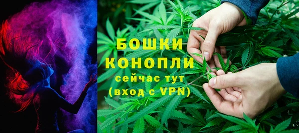 дурь Верея